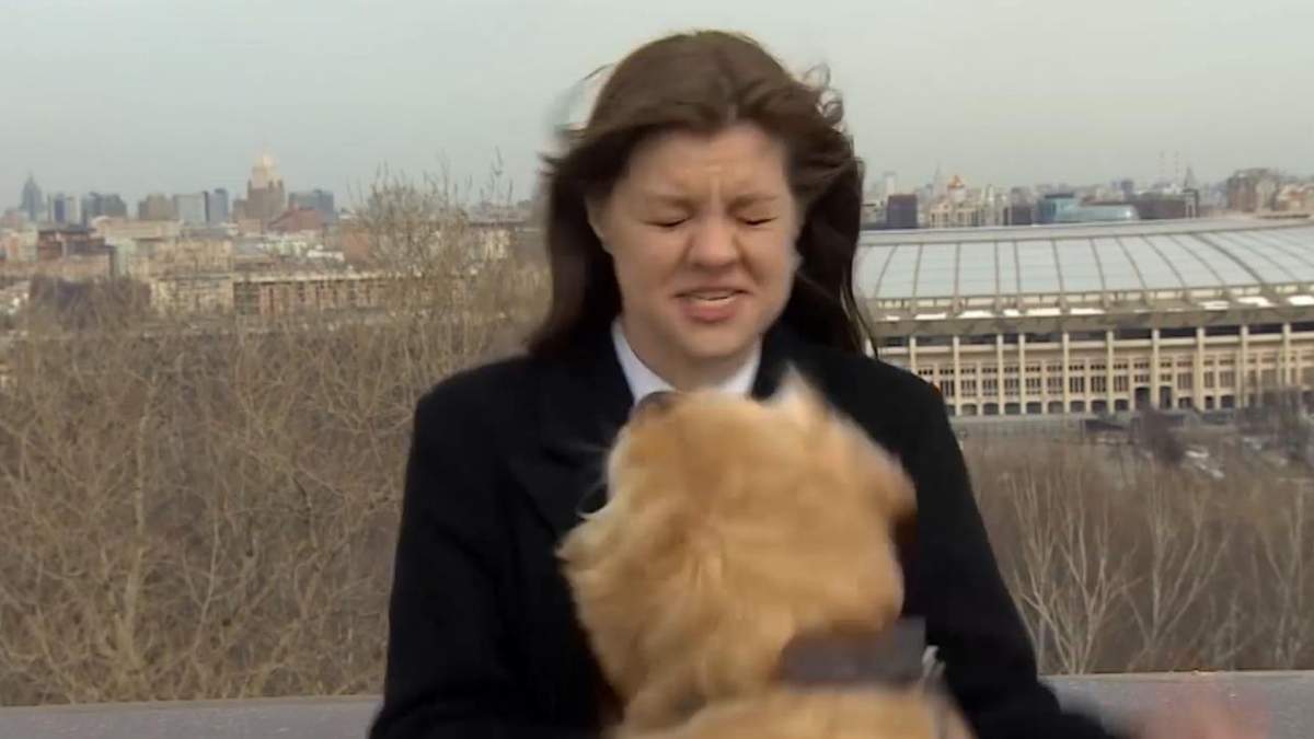 Пес у прямому ефірі вихопив у журналістки мікрофон: відео