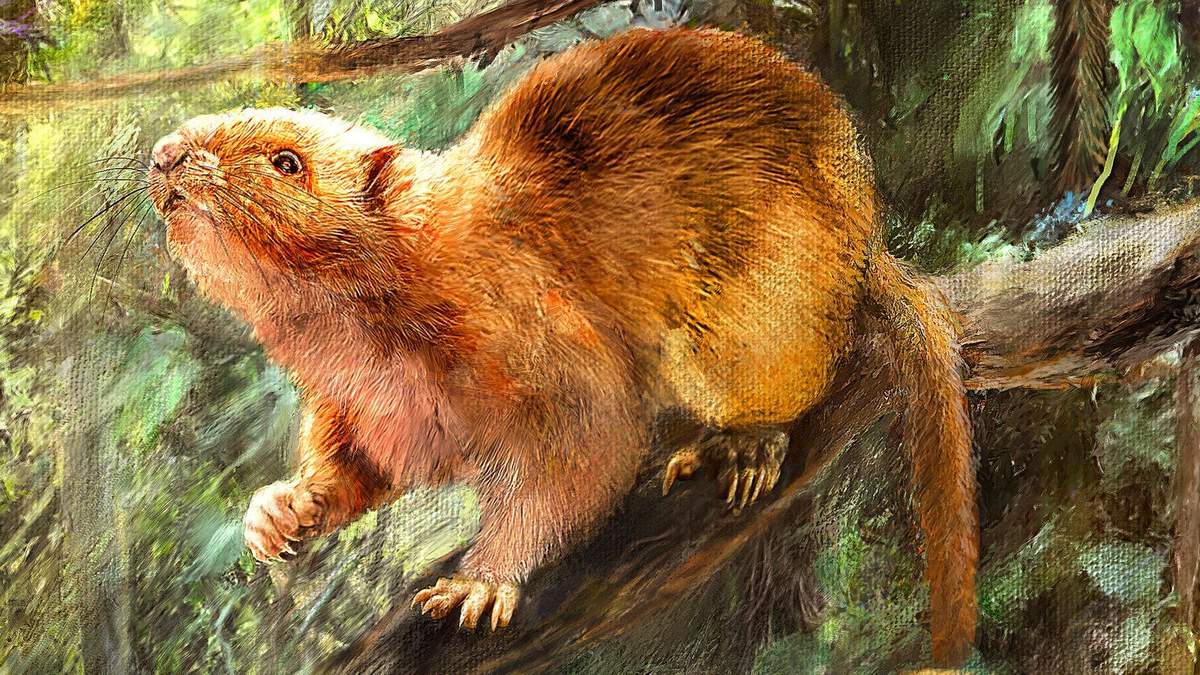 Гігантські щурі жили на планеті кілька тисяч років тому