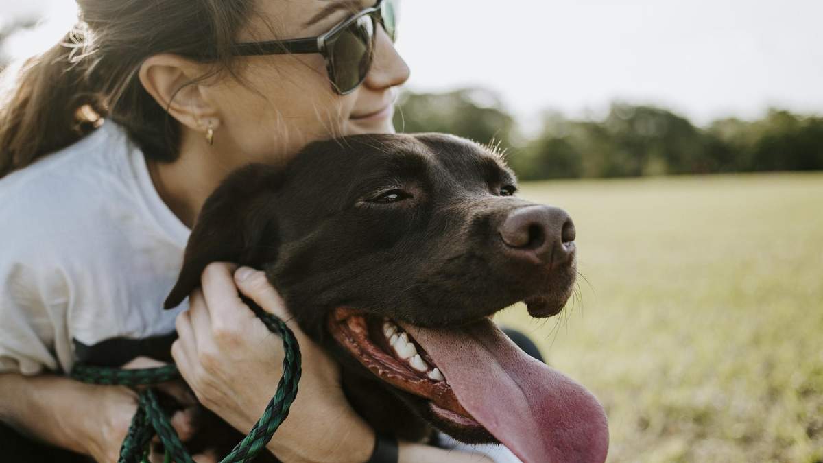 Чи можна обіймати собак: що кажуть вчені