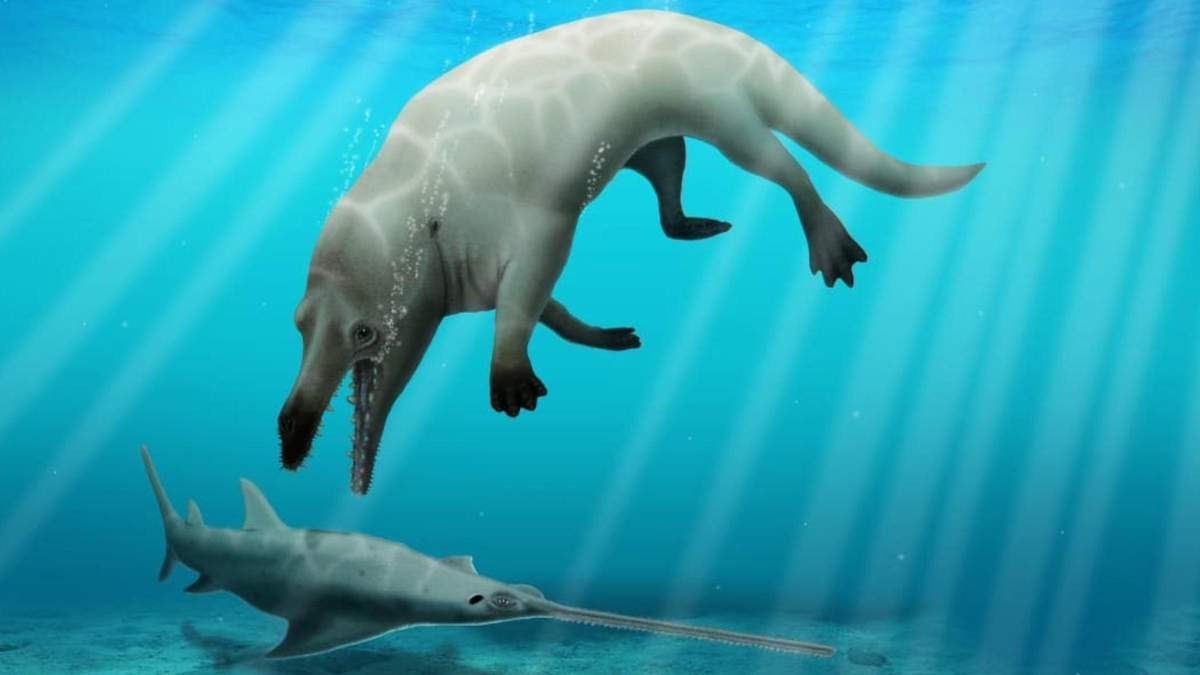 У Єгипті знайшли рештки чотирилапого кита: чому його назвали на честь бога Анубіса - Pets
