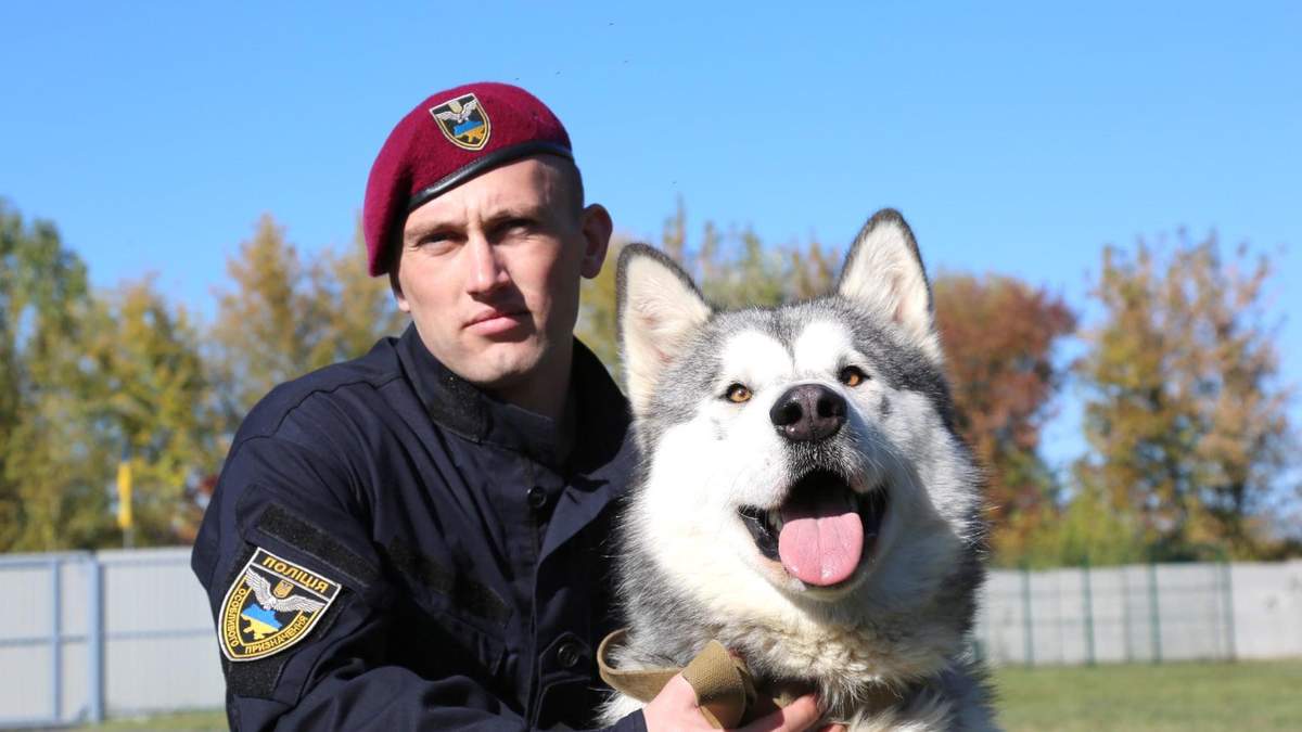Полицейские из Винницы сделали яркую фотосессию с собаками в приюте: невероятные фото - Новости Винницы - Pets