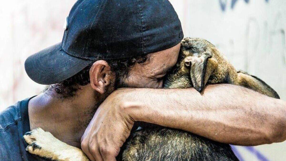 До слез: фотопроект о бездомных людях и их собаках в Бразилии – 25+ трогательных фото - Pets