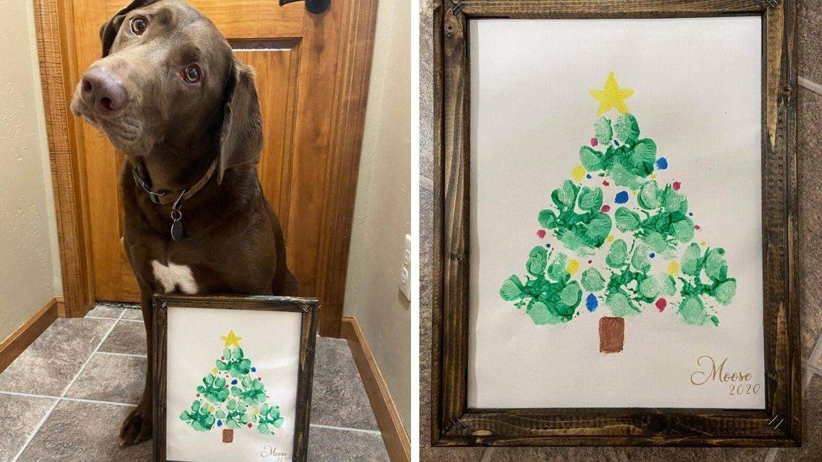 Собака лапой нарисовала елочку: праздничный лайфак, покоряющий сеть - Pets