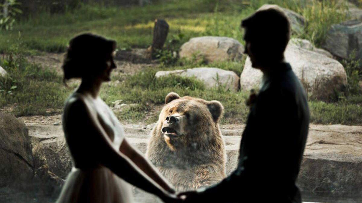 Косолапые хулиганы: 30+ очень веселых фото медведей - Pets
