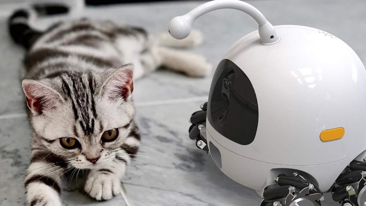 Робот для домашних любимцев: чем устройство может помочь хозяину и четырехлапому - Pets
