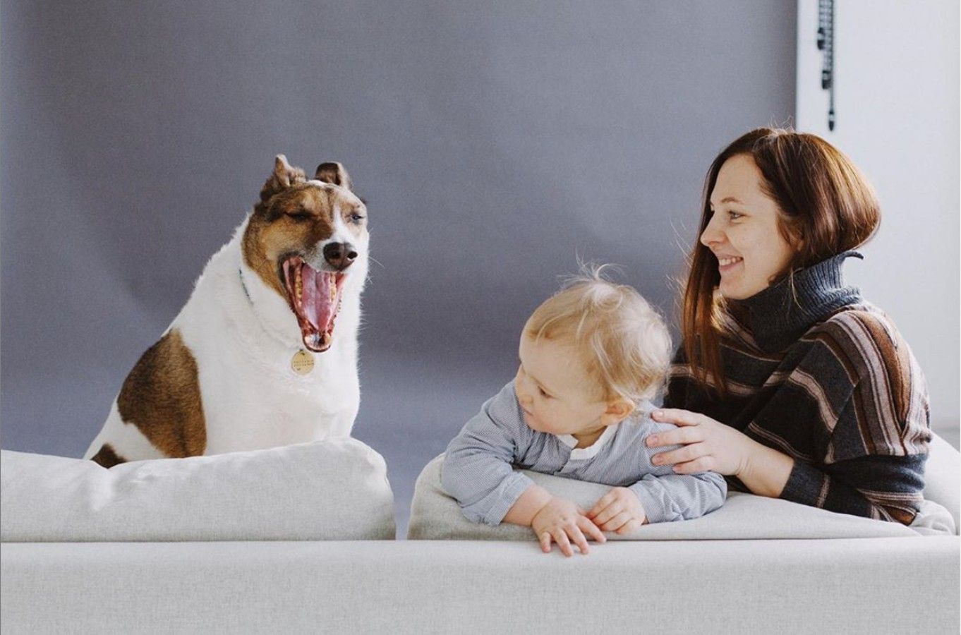 Взяти собаку або кота з притулку: про що потрібно знати Взяти собаку або кота з притулку: про що потрібно знати