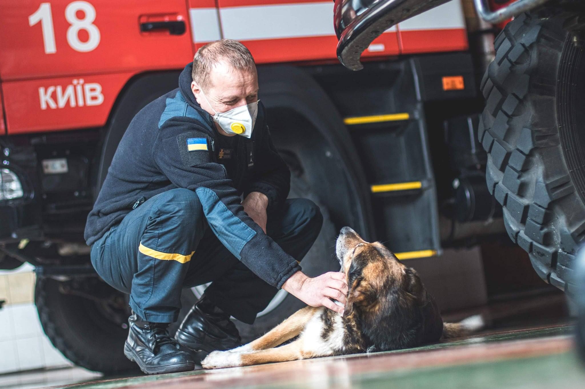 Пес, який охороняє спокій рятувальників: історія хвостатого вогнеборця