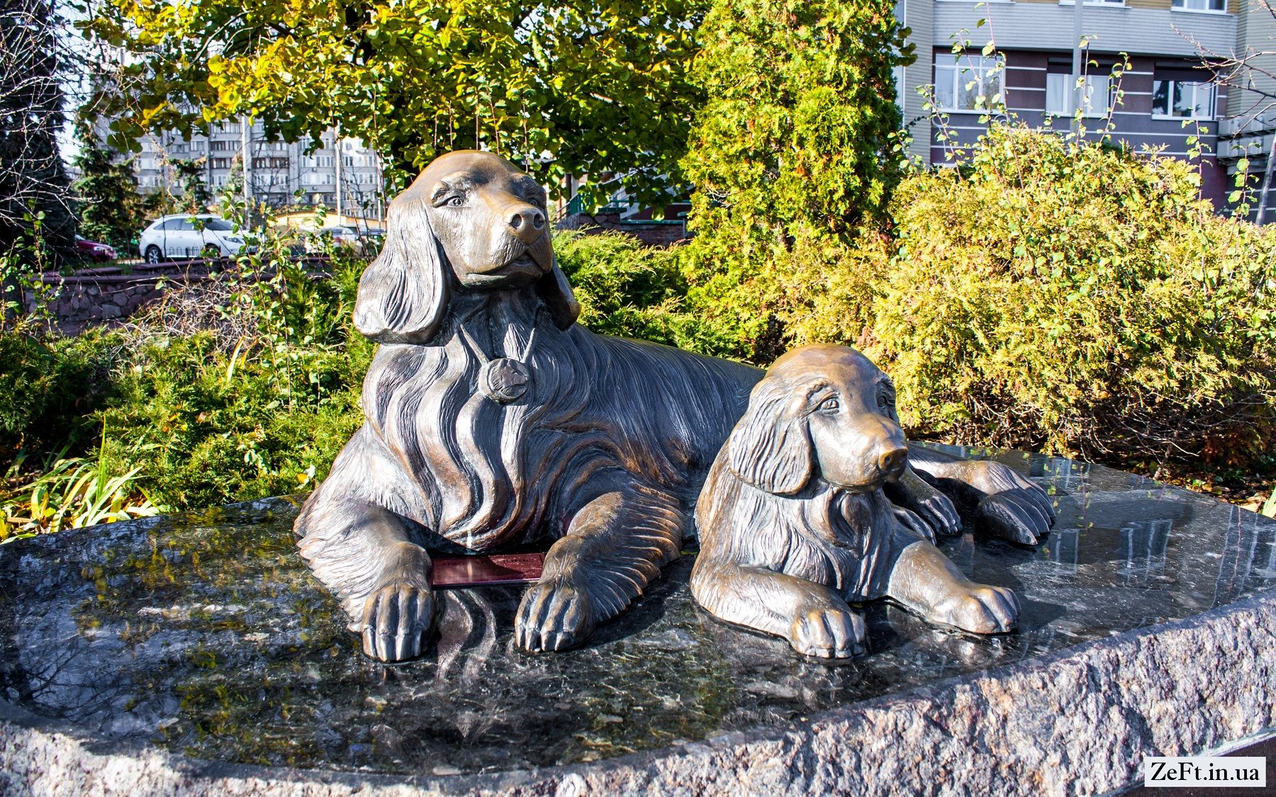 Пам'ятник собакам в Києві: фото та адреса монументу