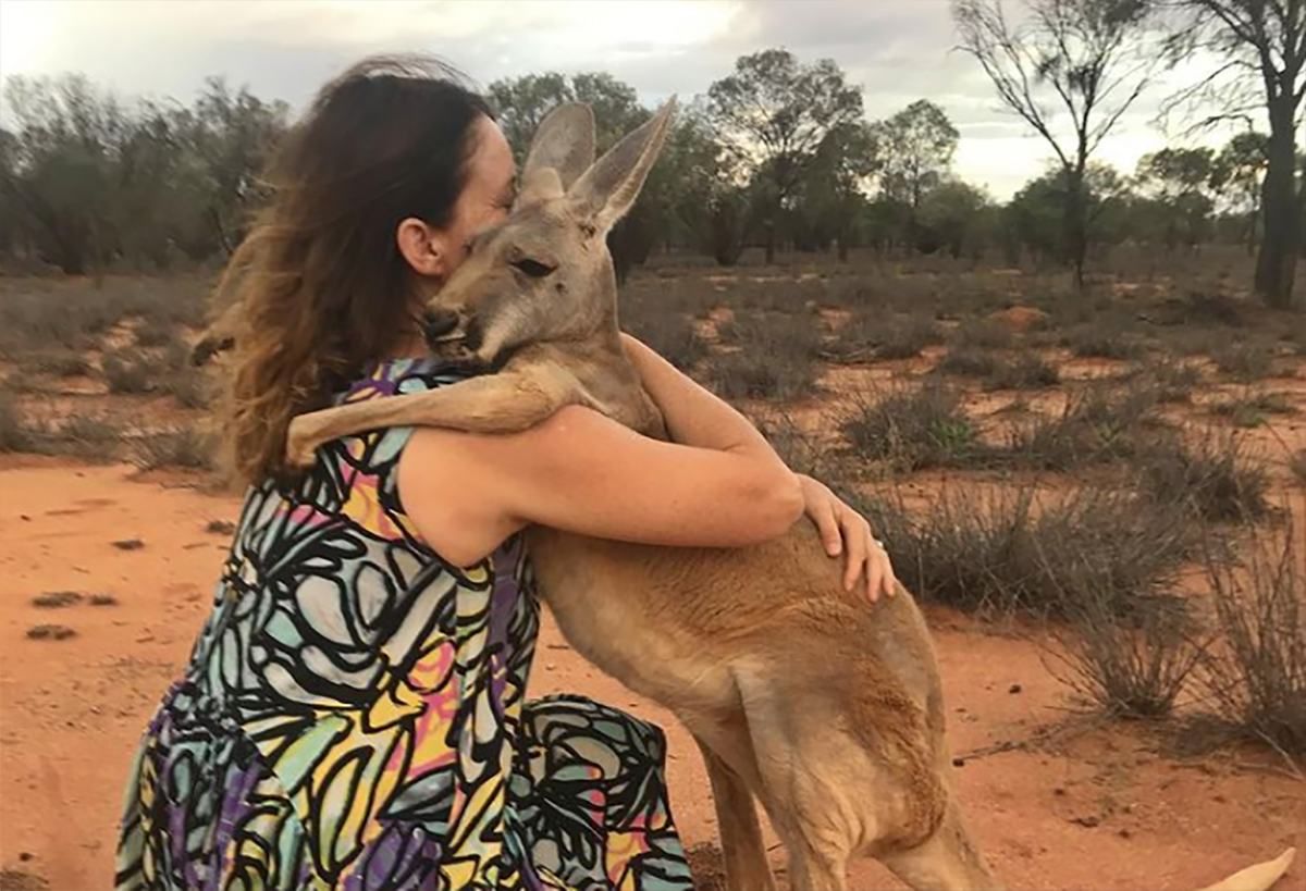 В австралійському заповіднику рятують осиротілих кенгуру: фото, відео