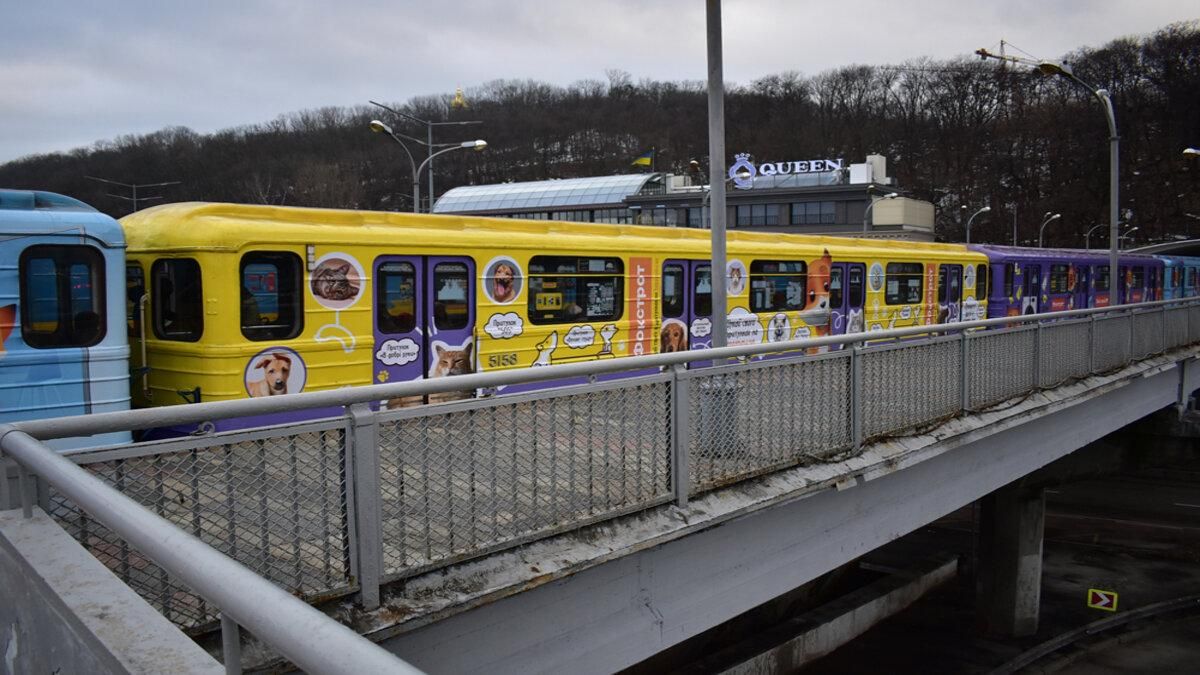 У київському метро їздить вагон з зображенням котів та соба У київському метро їздить вагон з зображенням котів та соба