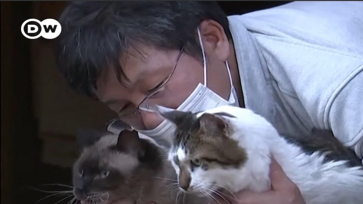 Японець дбає про покинутих котів у Фукусімі: відео