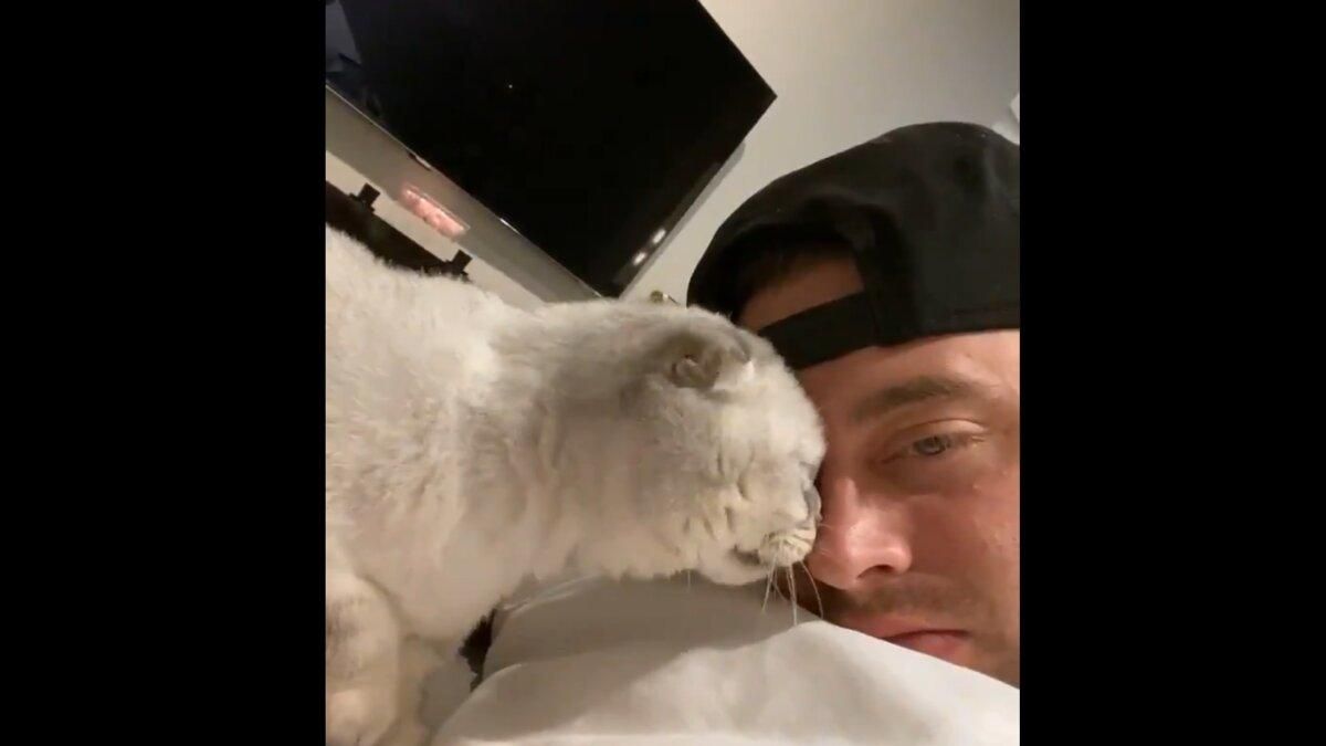 Хозяин лизнул кошку в ответ: смешное видео Хозяин лизнул кошку в ответ: смешное видео