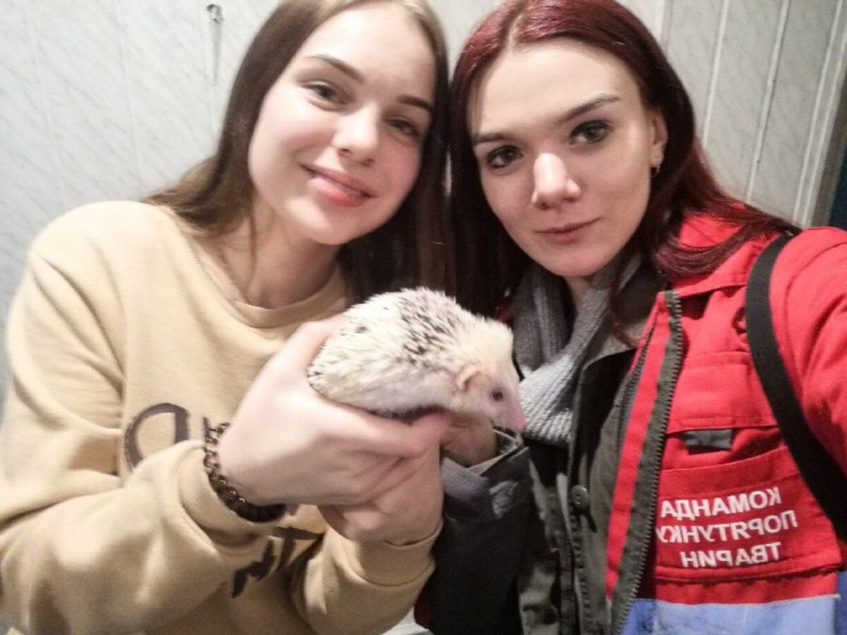Застрял в батарее: как в Киеве спасли редкого ежа Застрял в батарее: как в Киеве спасли редкого ежа