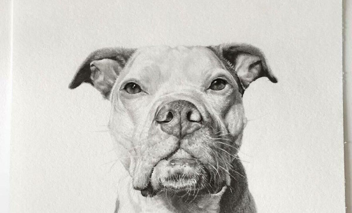 Схоже на фото: художниця малює вражаючі портрети тварин Схоже на фото: художниця малює вражаючі портрети тварин