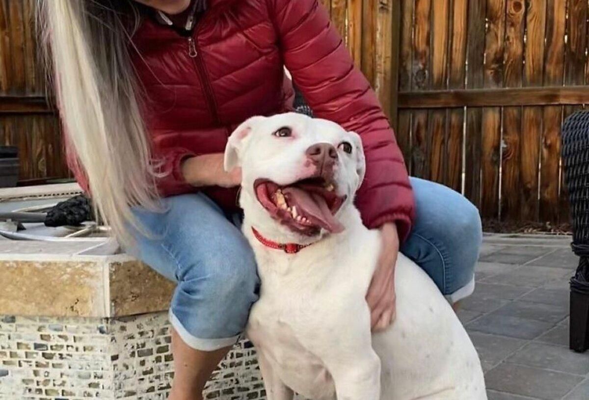 Женщина усыновила брошенную собаку, а та спасла ее Женщина усыновила брошенную собаку, а та спасла ее