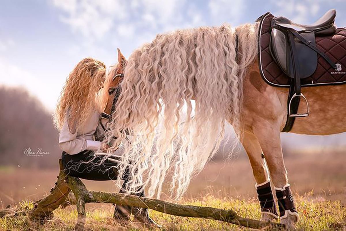 Конь и девушка почти с одинаковыми волосами