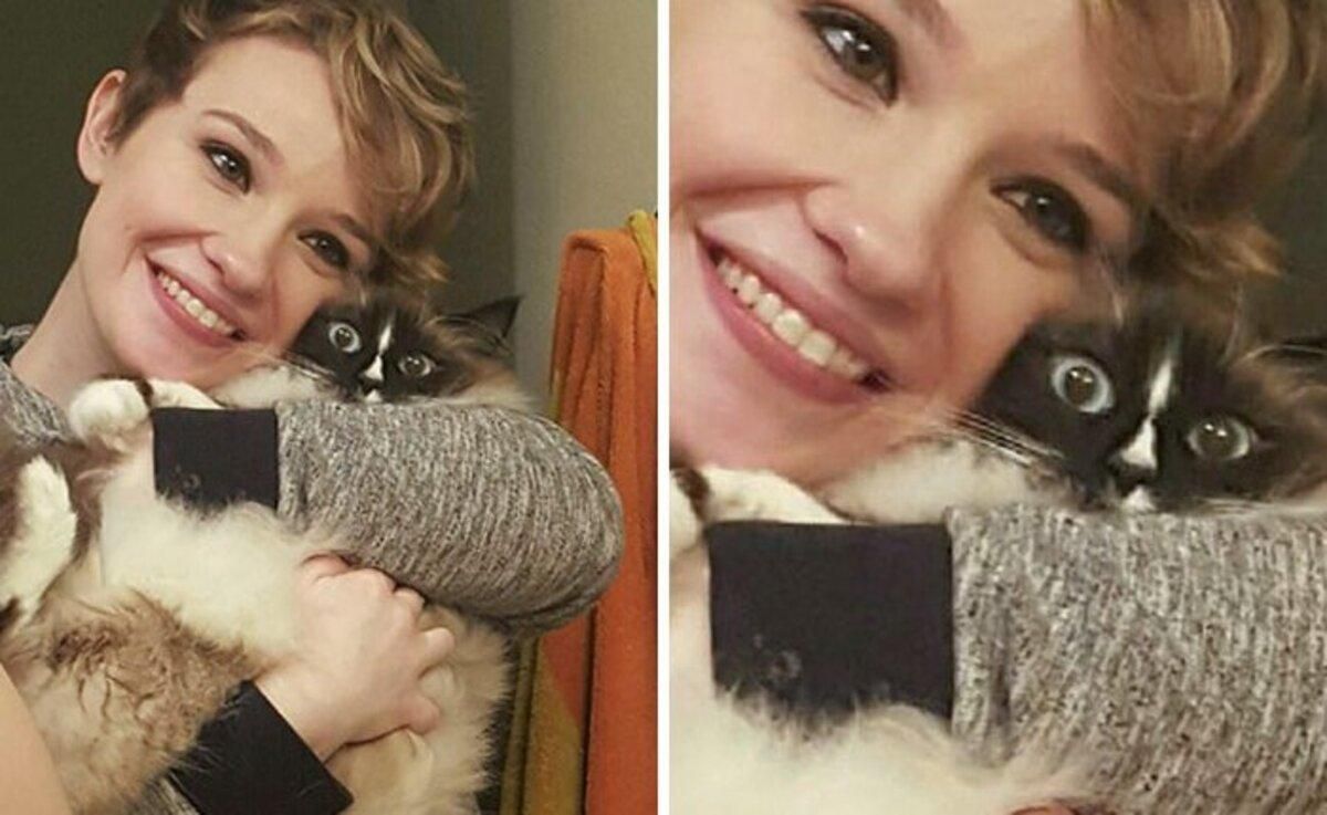 10 кумедних випадків, коли кішки відмовилися обійматися: фото 10 кумедних випадків, коли кішки відмовилися обійматися: фото