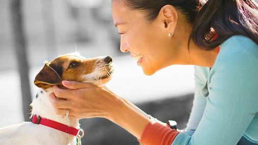 Чим годувати собак малих порід: 3 тижні – видимий результат з Purina ONE®