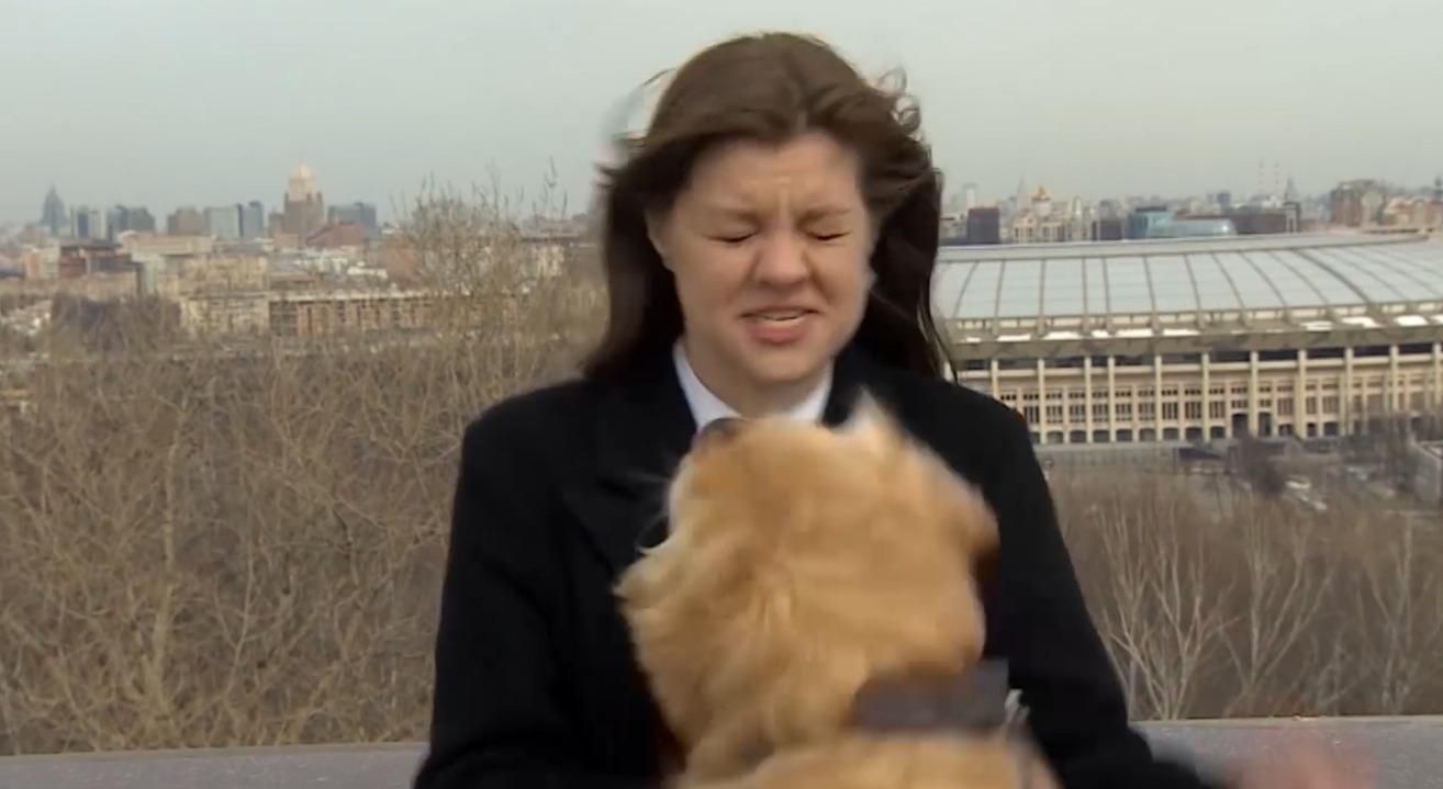 Пес в прямом эфире выхватил у журналистки микрофон: видео Пес в прямом эфире выхватил у журналистки микрофон: видео