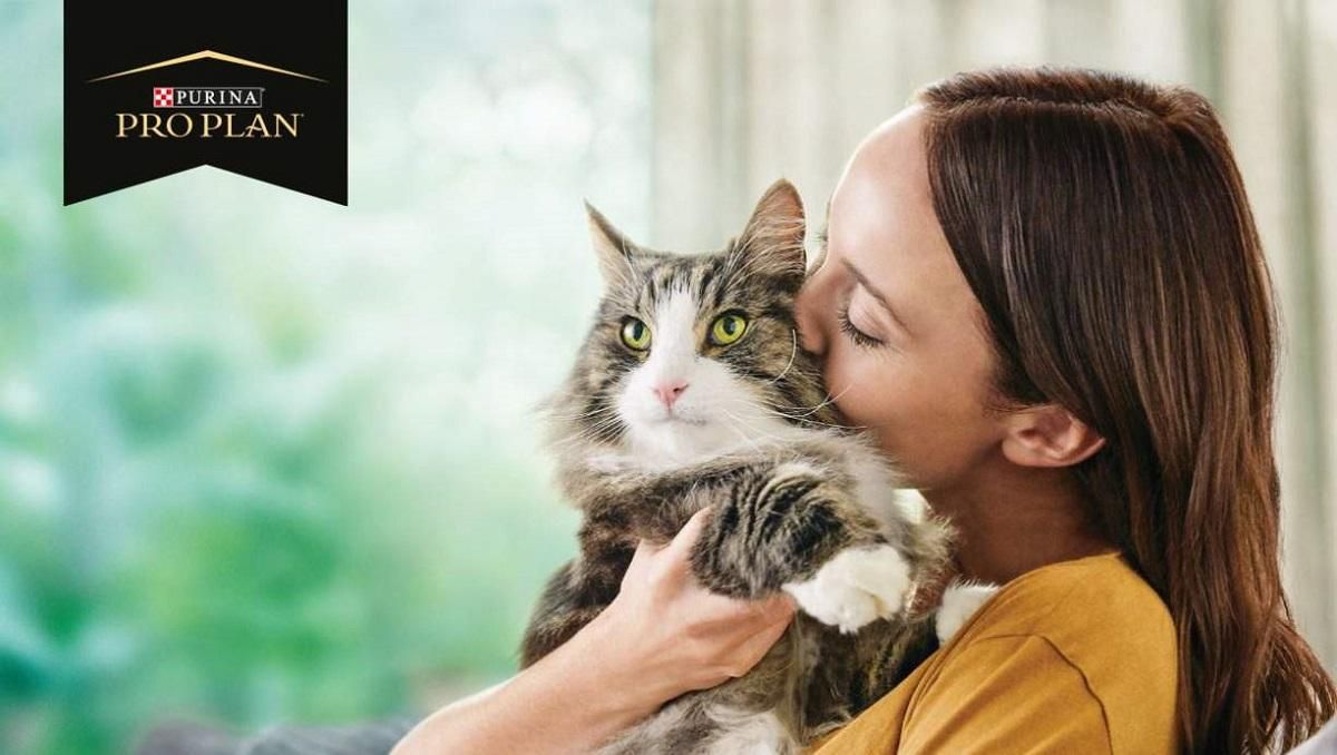 Алергія на шерсть котів: як за допомогою корму для котів можна нейтралізувати* алерген