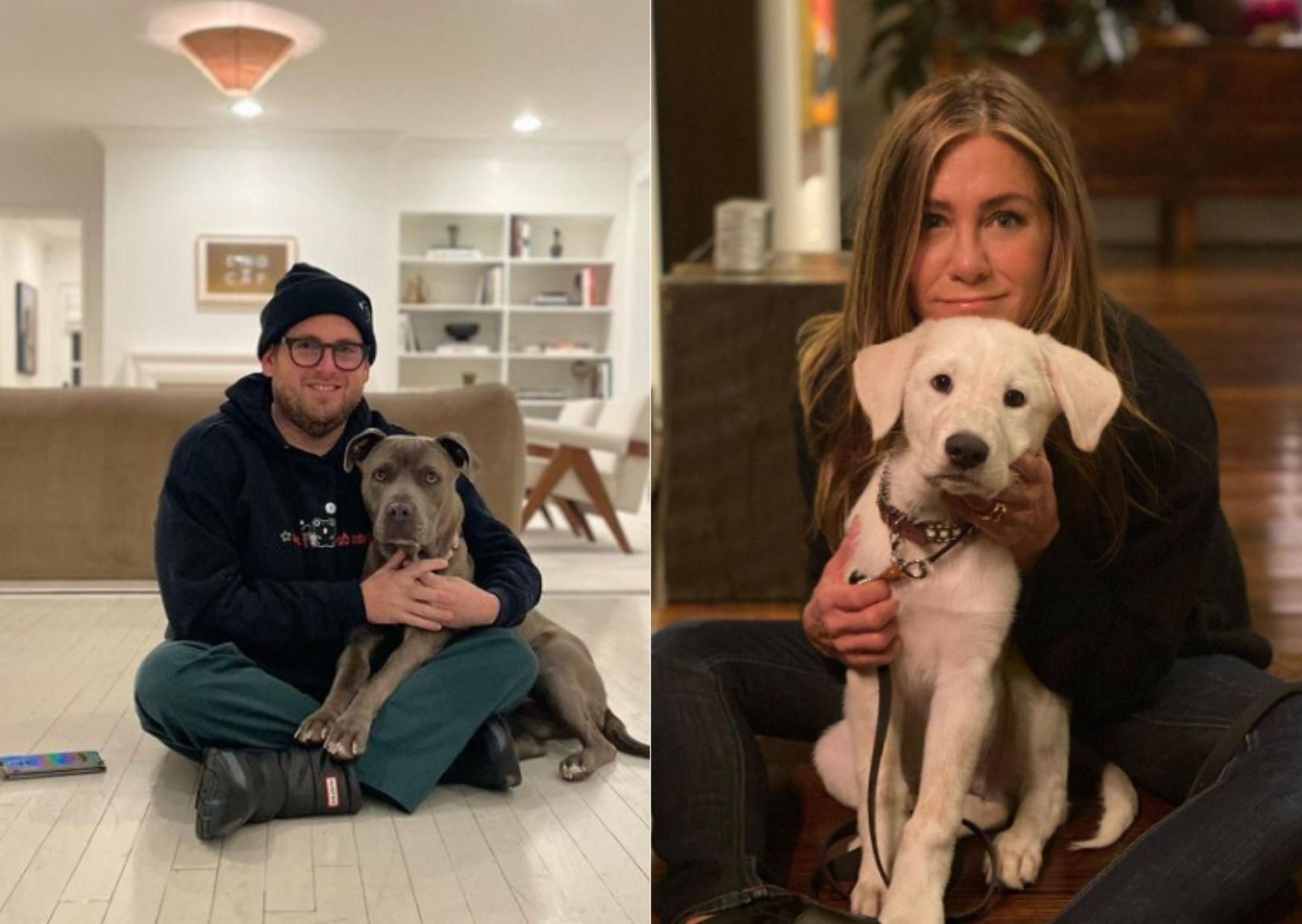 10 известных актеров, которые обожают собак: милые фото из инстаграма 10 известных актеров, которые обожают собак: милые фото из инстаграма