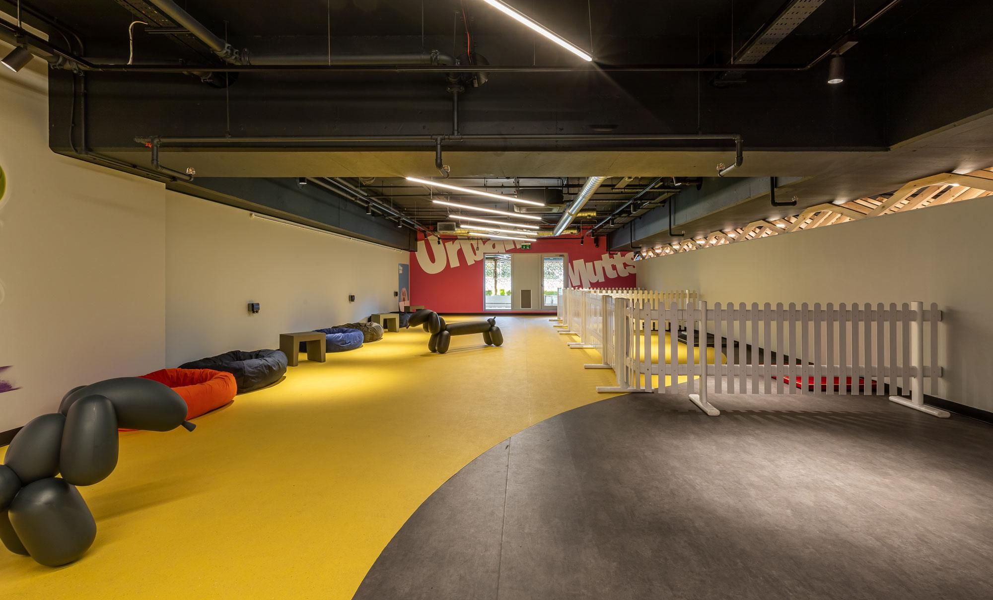 Розкішний готель для собак у Лондоні Розкішний готель для собак у Лондоні