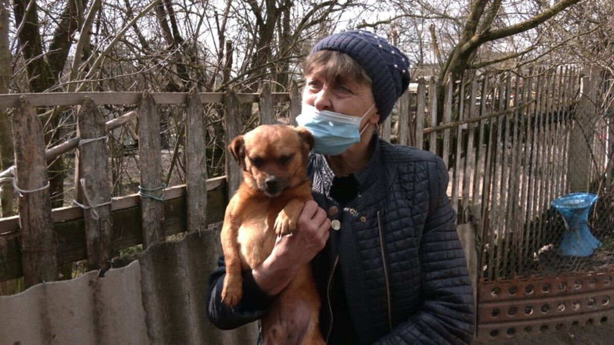 Сім'я Котів врятувала пів сотні собак: історія подружжя з Рівненщини Сім'я Котів врятувала пів сотні собак: історія подружжя з Рівненщини