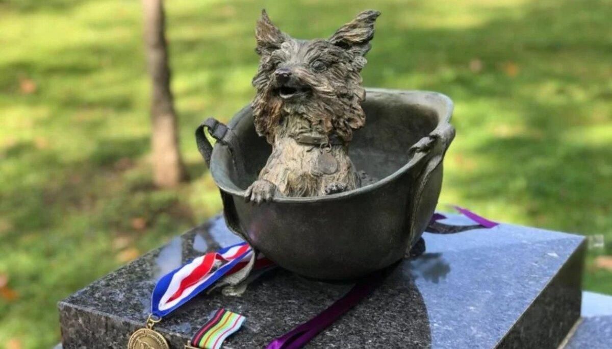 Йоркширский терьер Смоки: история о собаке-герое войны Йоркширский терьер Смоки: история о собаке-герое войны