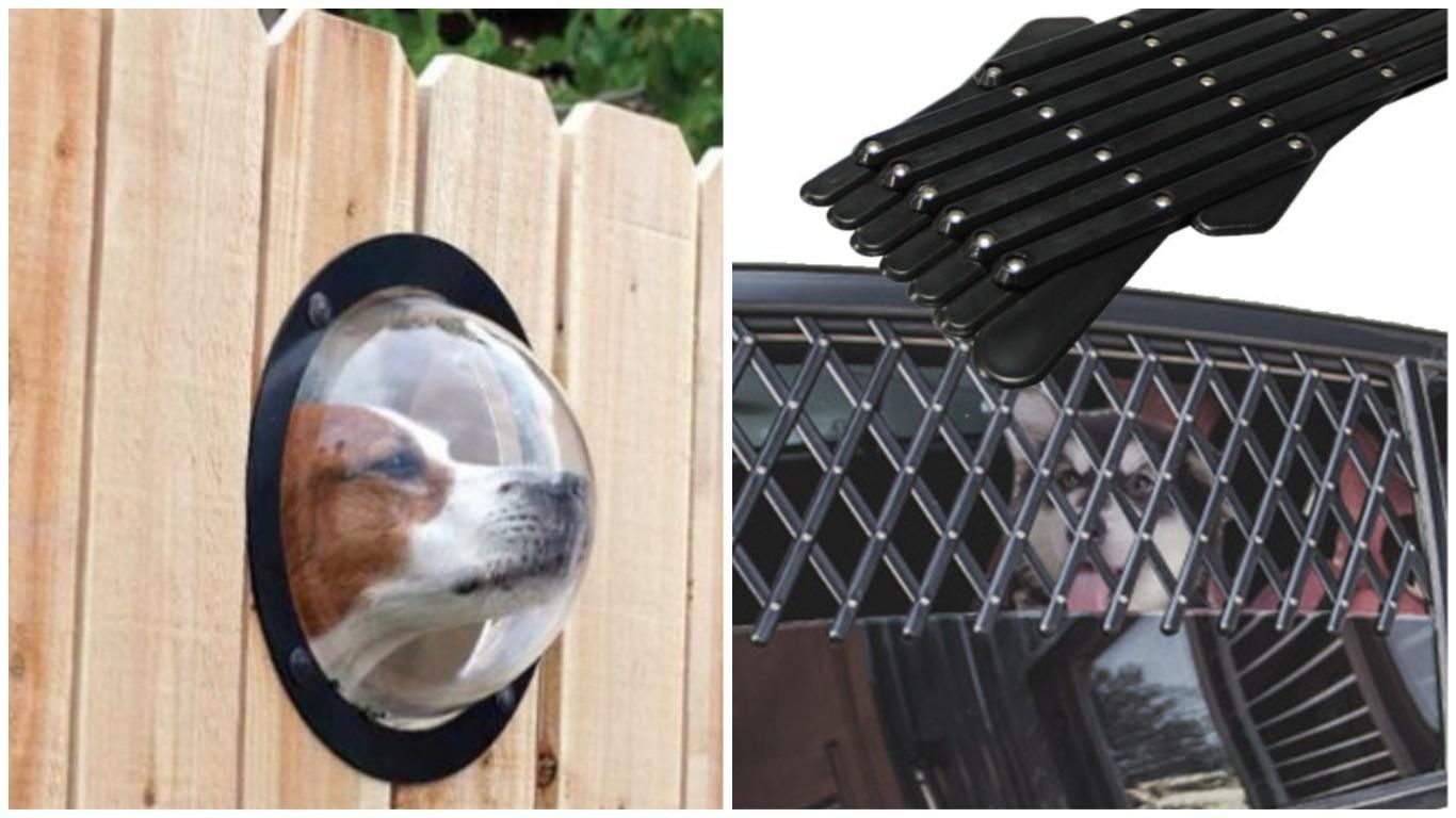 Гаджети для собак: підбірка корисних речей для песиків з фото Гаджети для собак: підбірка корисних речей для песиків з фото