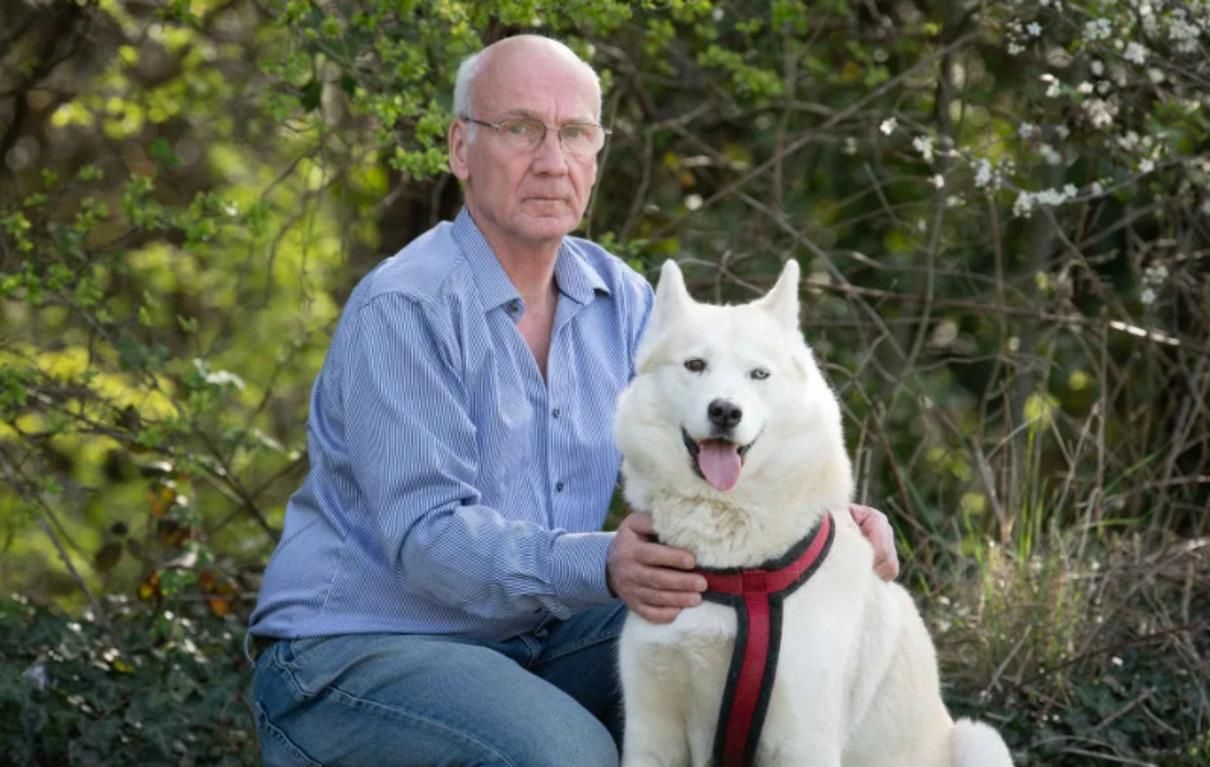 Хаски в Великобритании спас оставленного младенеца: фото Хаски в Великобритании спас оставленного младенеца: фото