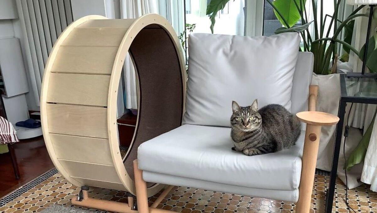 Дизайнеры придумали уникальное кресло для кошек и их хозяев