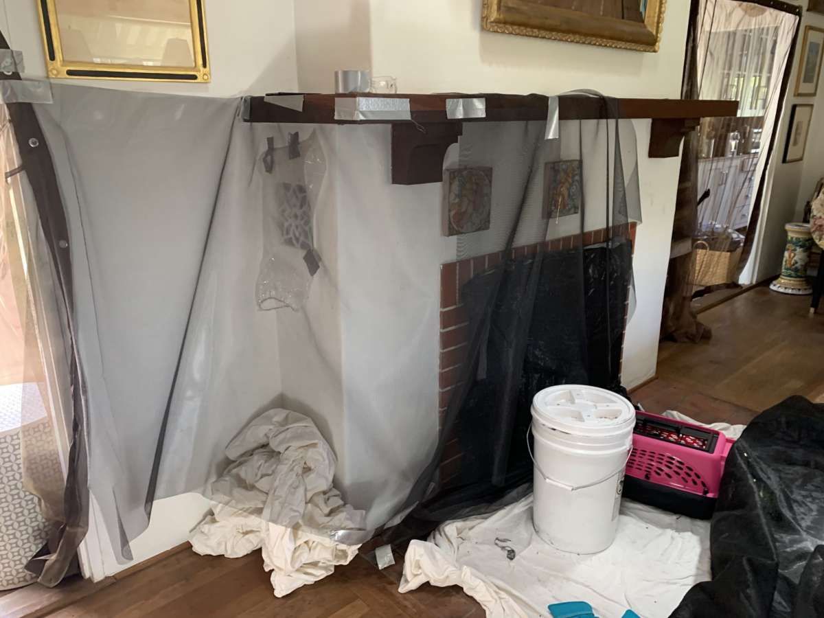 1000 птиц случайно застряли в камине: видео 1000 птиц случайно застряли в камине: видео