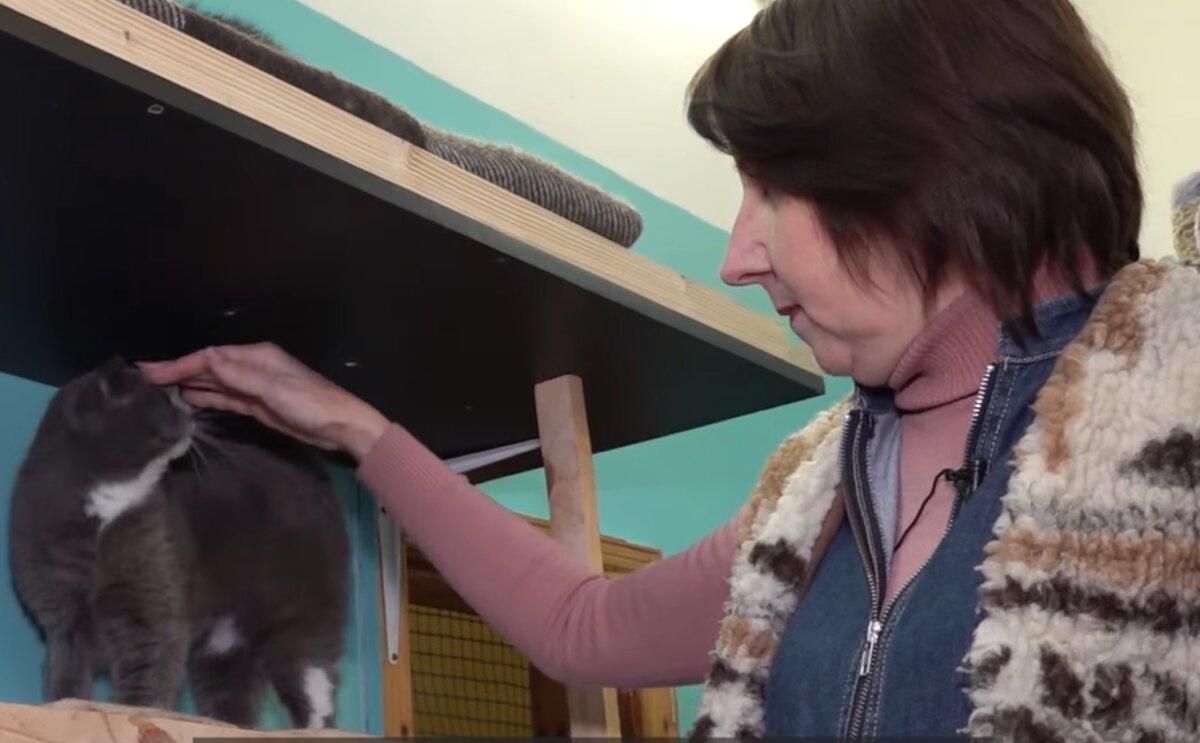 Зоозахисниця з Одеси відкрила свій притулок для котів Зоозахисниця з Одеси відкрила свій притулок для котів