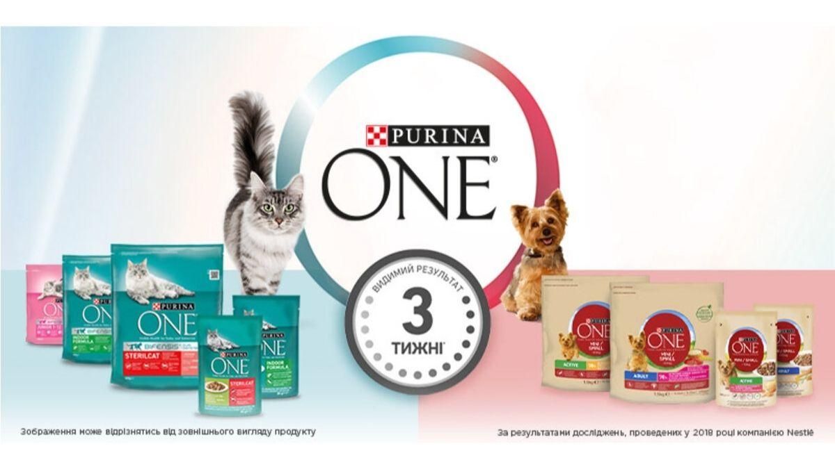 Purina ONE® для котів та собак: видимий результат усього за 3 тижні Purina ONE® для котів та собак: видимий результат усього за 3 тижні
