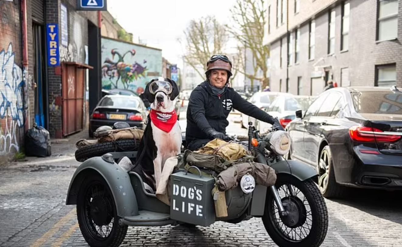 Диего и Карлос напоминают персонажей "Уоллеса и Громита" Диего и Карлос напоминают персонажей "Уоллеса и Громита"