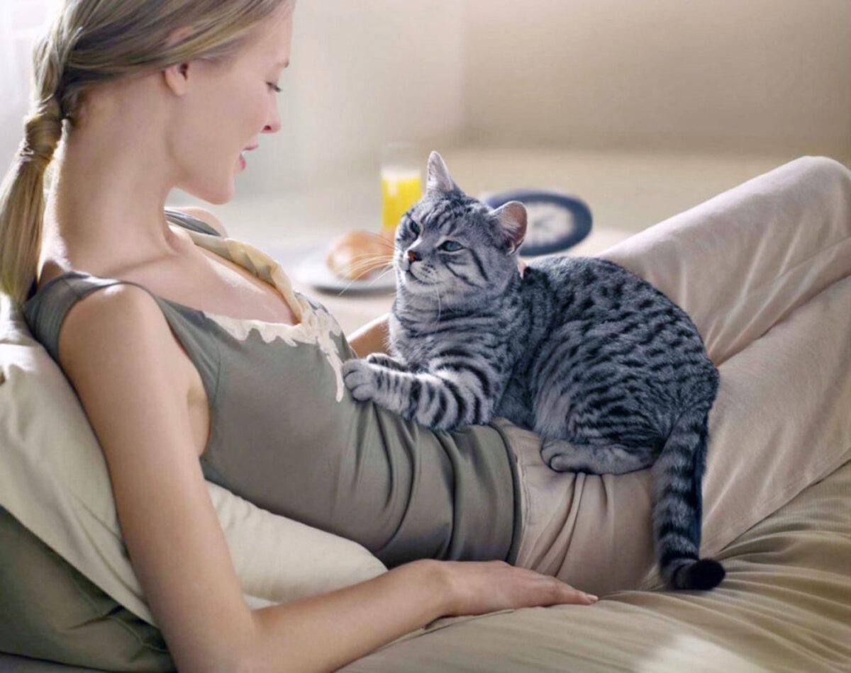 Чому кішки топчуть людей лапками Чому кішки топчуть людей лапками