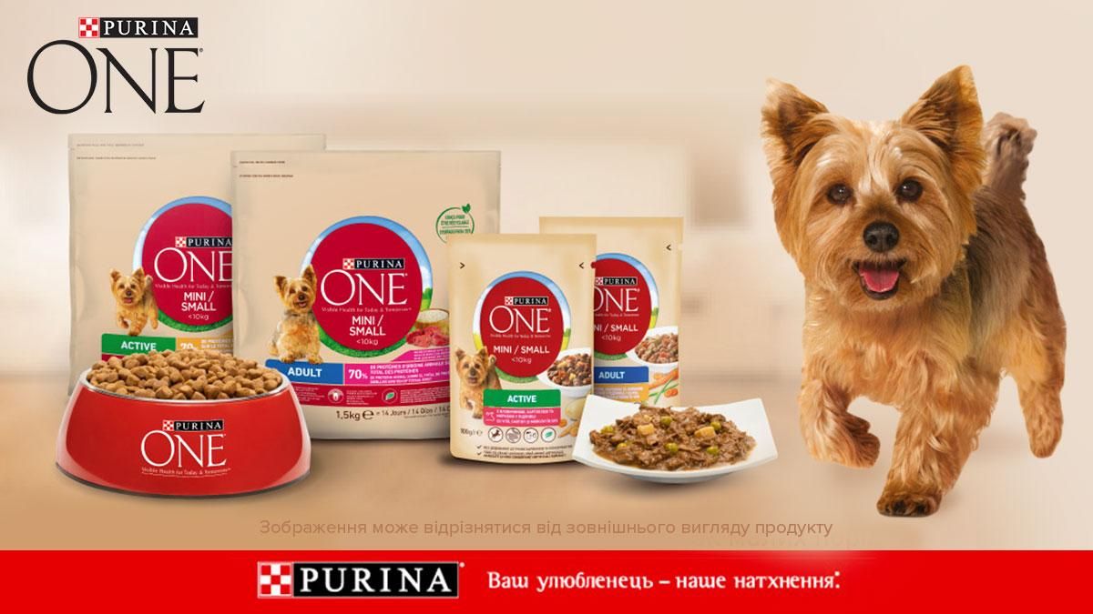 Purina One® Mini/Small: корм, адаптований до потреб собак малих порід Purina One® Mini/Small: корм, адаптований до потреб собак малих порід