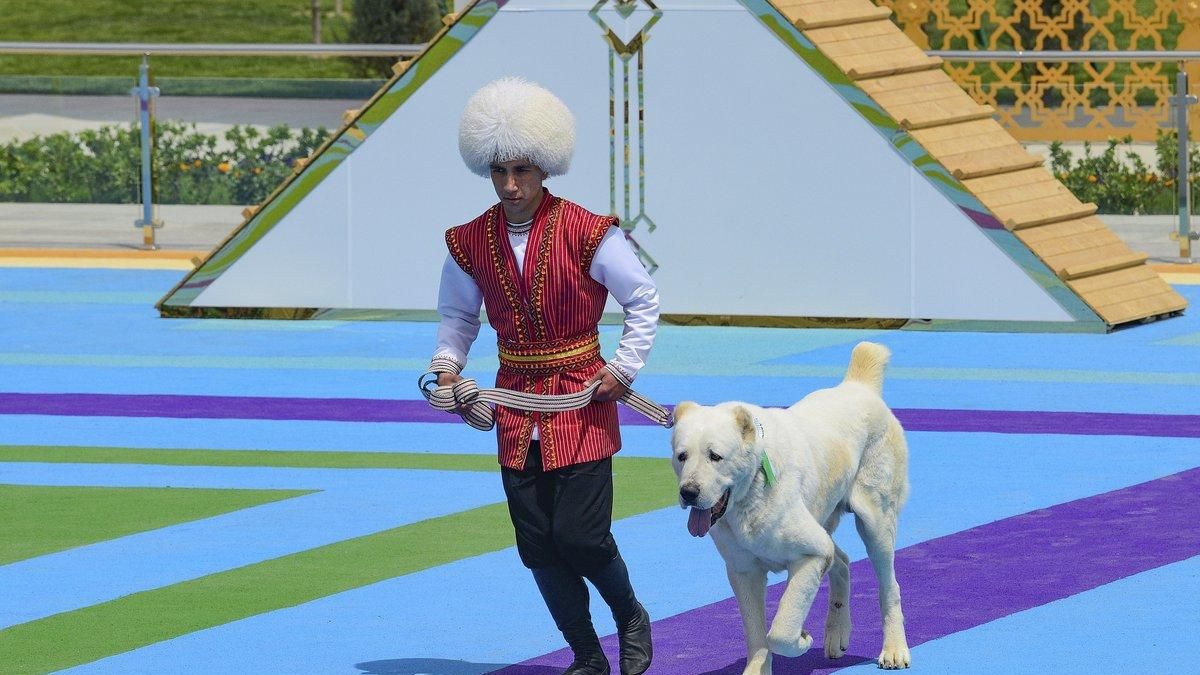Алабай в Туркменистане: национальная гордость