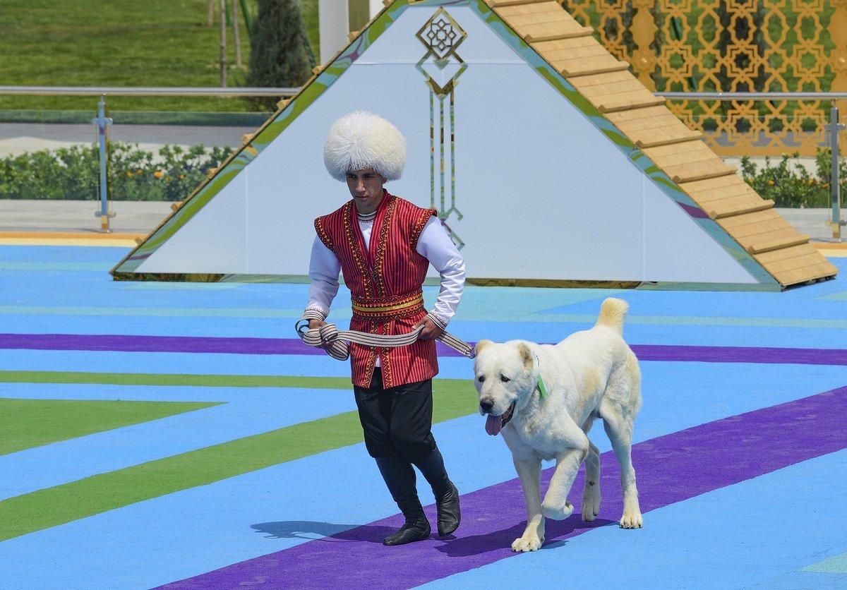 Алабай в Туркменистане: национальная гордость