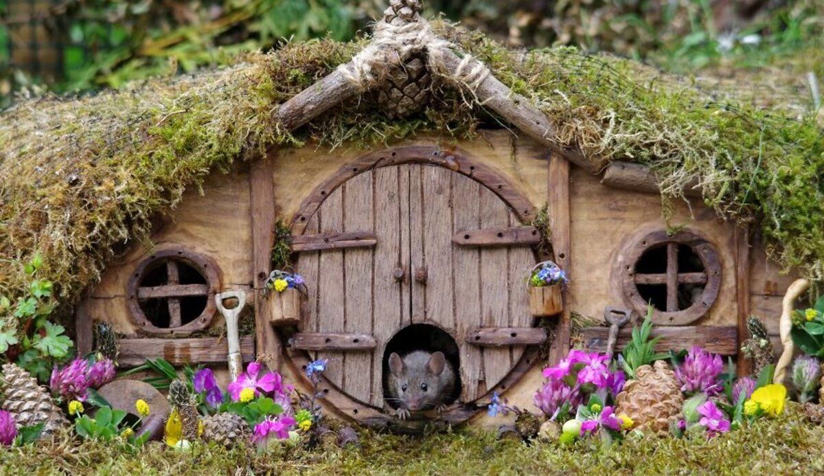 Живуть як гобіти: фотограф побудував неймовірний дім для мишенят Живуть як гобіти: фотограф побудував неймовірний дім для мишенят