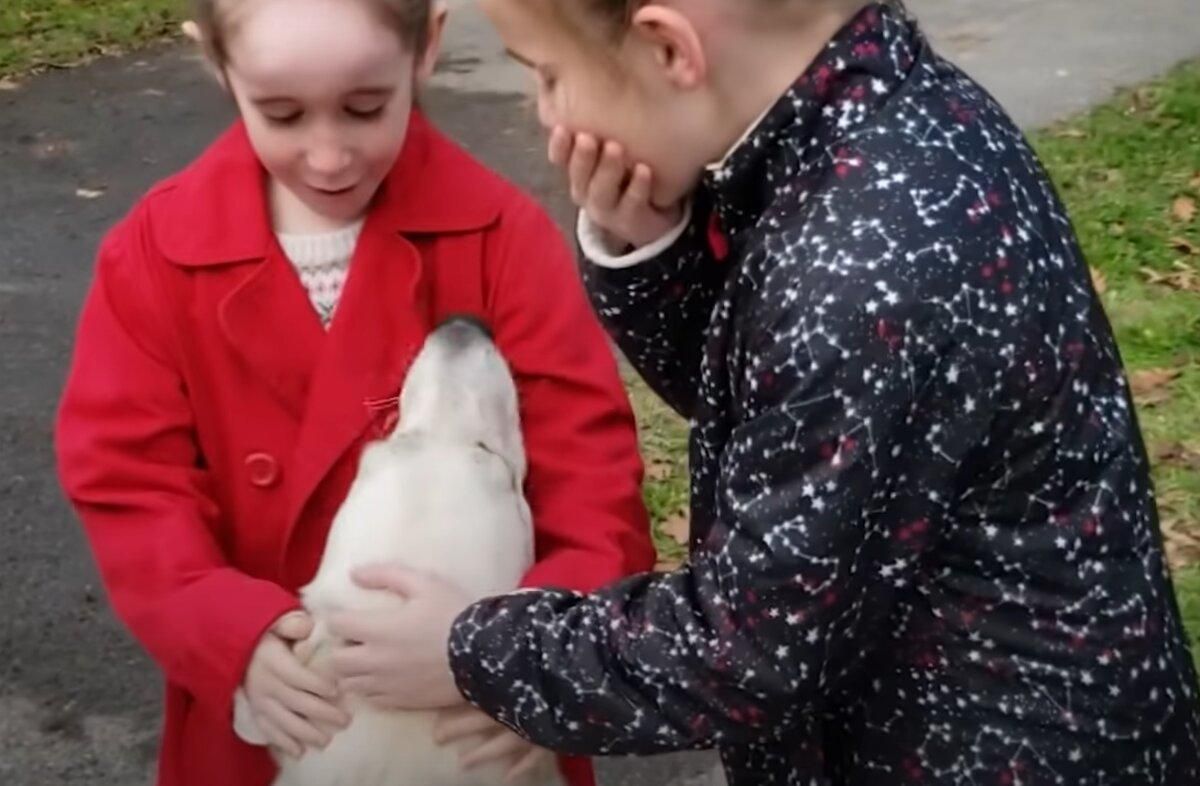 Мама по секрету взяла собаку в притулку: як відреагували доньки Мама по секрету взяла собаку в притулку: як відреагували доньки