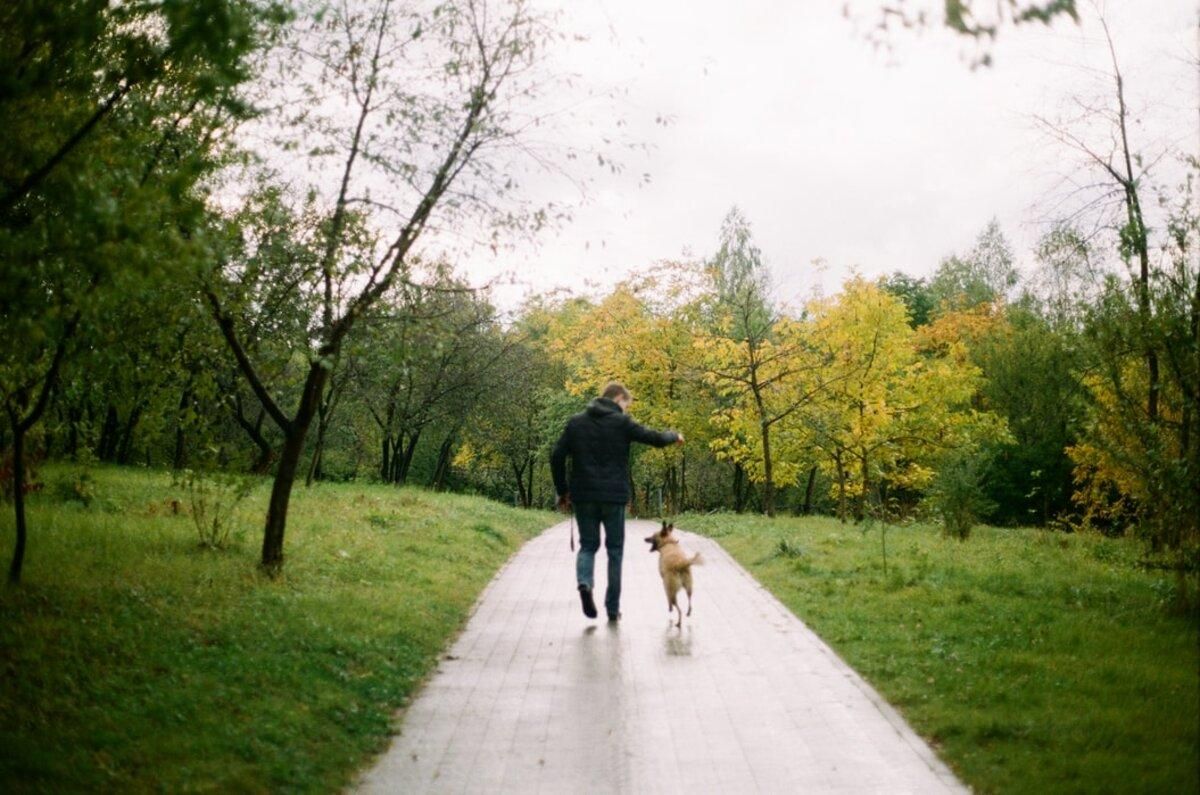 Правила выгула собак в Украине