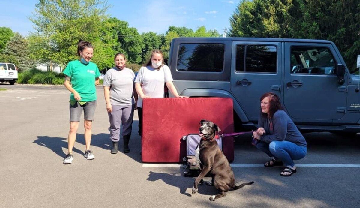 Пост в фесбуке помог собаке найти дом после 7 лет в приюте