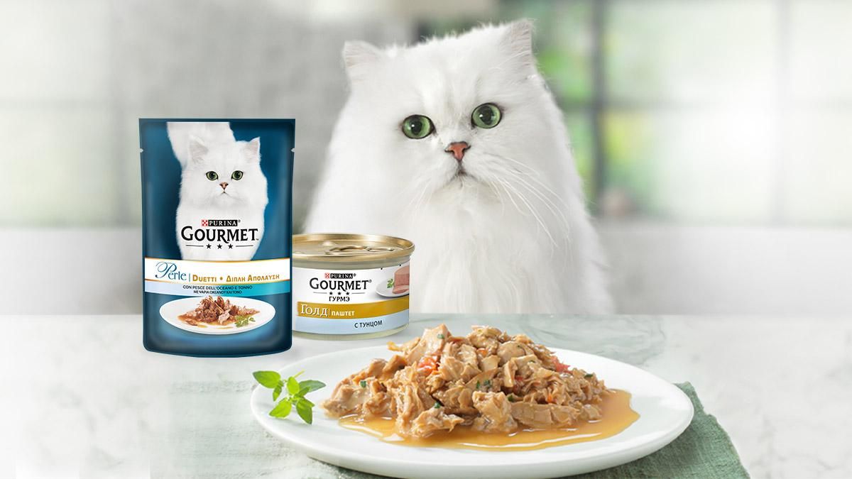 Акция от GOURMET™: регистрируй чеки и выигрывай ценные призы Акция от GOURMET™: регистрируй чеки и выигрывай ценные призы