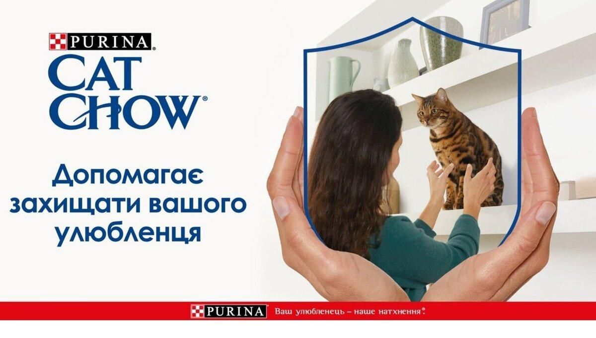 Корм Cat Chow® – природний вибір вашого кота Корм Cat Chow® – природний вибір вашого кота