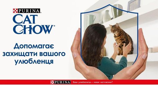 Корм Cat Chow® – природный выбор вашего кота