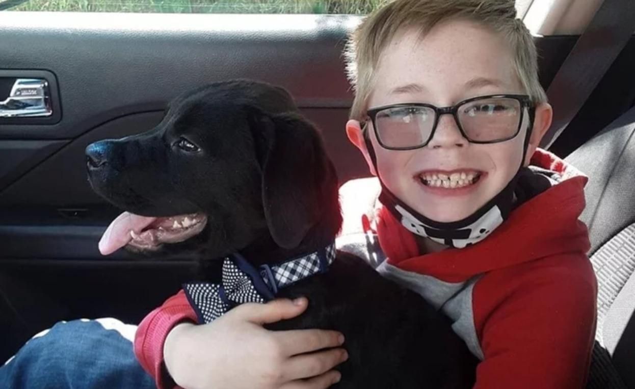 Pokemon прислал редкие карточки Брайсону, который спасал щенка Pokemon прислал редкие карточки Брайсону, который спасал щенка