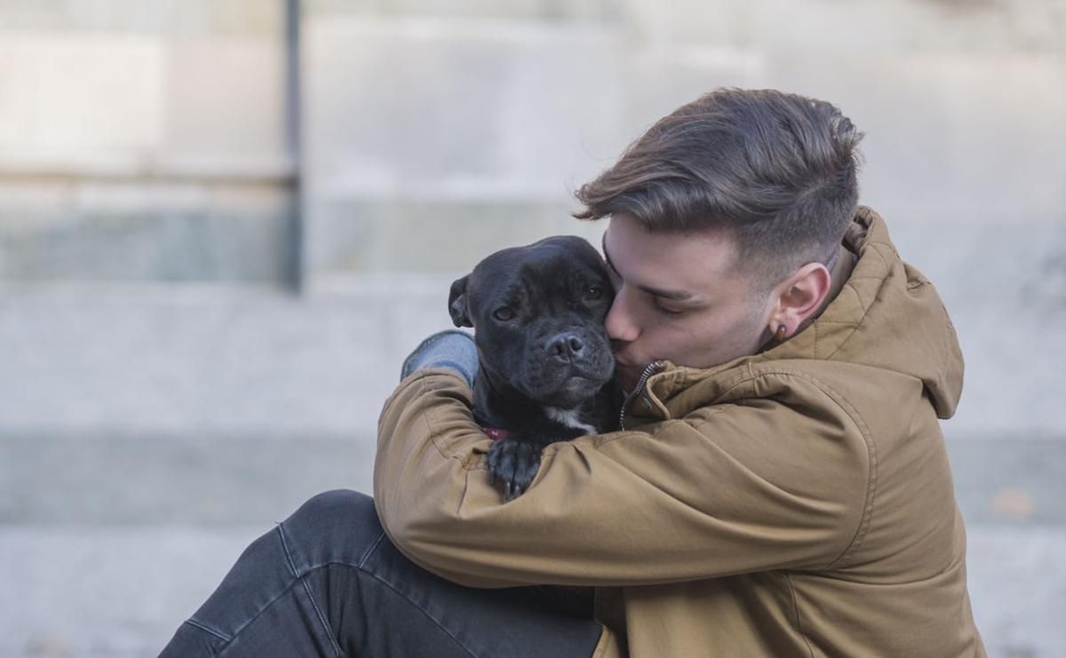 Вчені виявили ще один унікальний вплив собак на людей Вчені виявили ще один унікальний вплив собак на людей