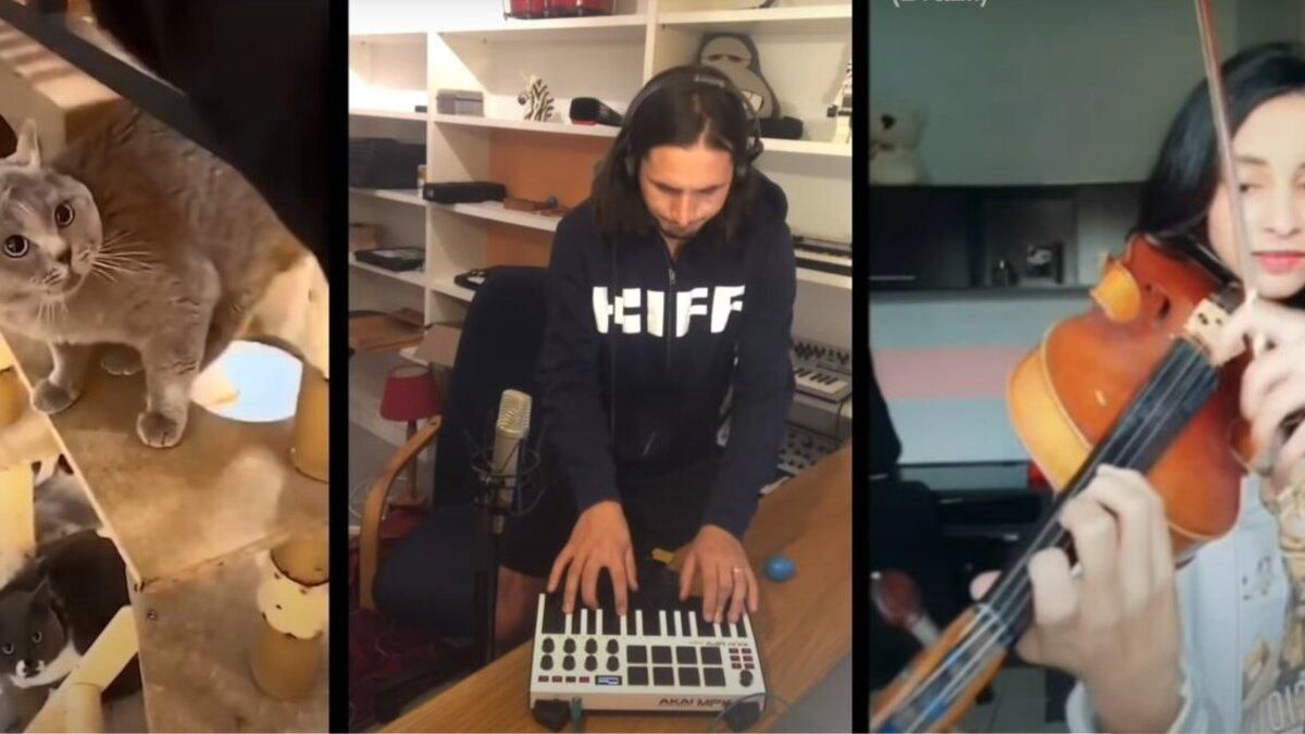 Мем з котом перетворили на вірусний трек: неймовірне відео Мем з котом перетворили на вірусний трек: неймовірне відео