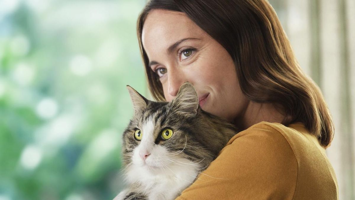 Алергічна реакція на котів: новий підхід Purina Pro Plan LiveClear